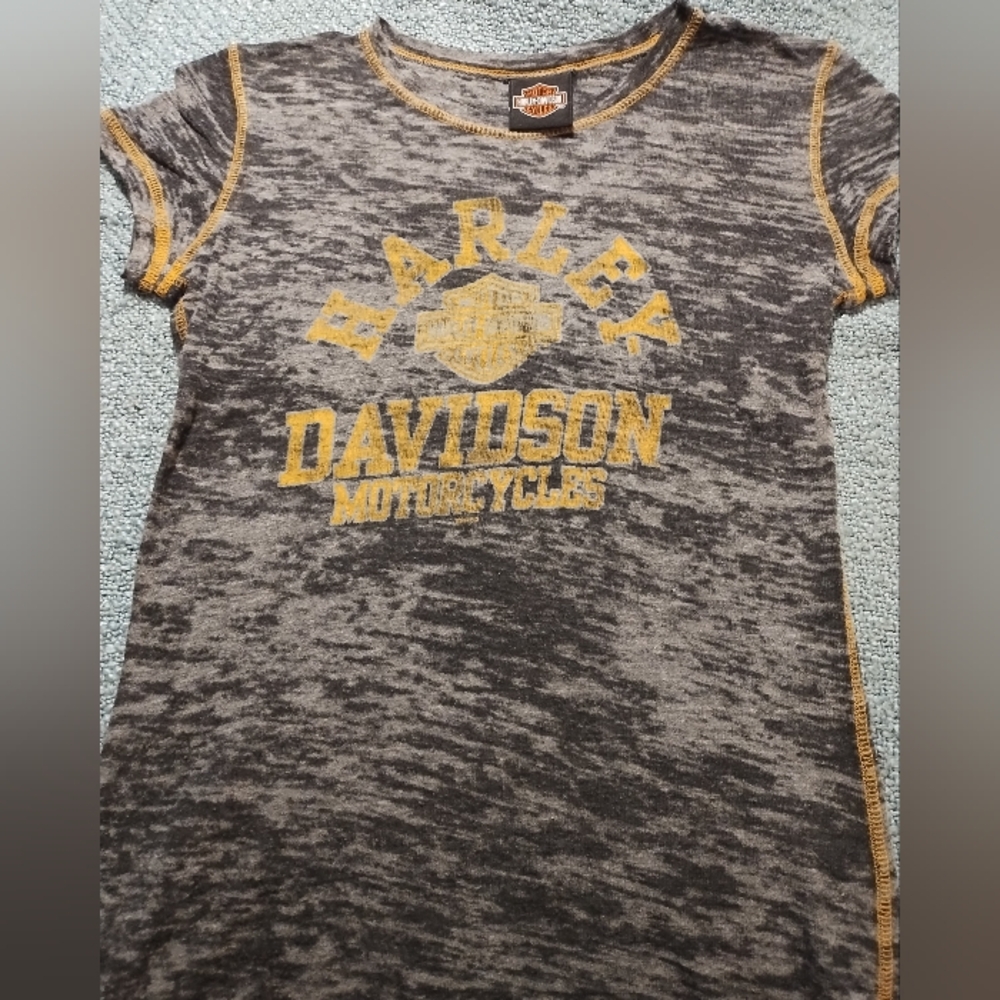 Harley-Davidson Charcoal and Mustard Tee
